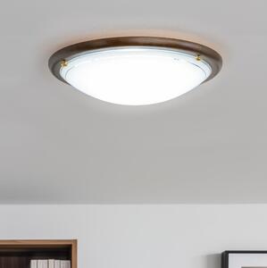 Rabalux 5417 - Plafoniera UFO E27/60W/230V
