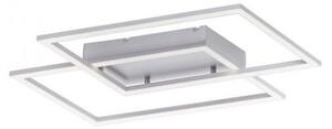 Paul Neuhaus 8192-55 - Lampadario a plafone LED dimmerabile INIGO 2xLED/12W/230V