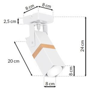 Luce Spot VIDAR 1xGU10/25W/230V bianco