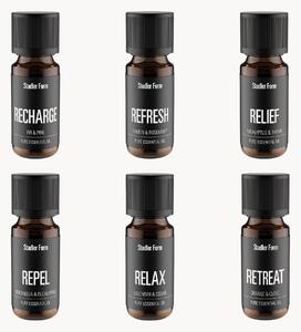 Set di 6 oli profumati per diffusore Sophie e Nora (legnoso, agrumi, lavanda, eucalipto, citronella, arancio)