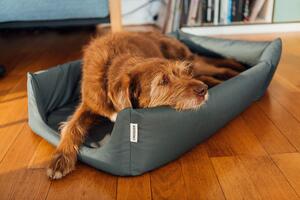 Cuccia Croozer per il cane Tammo - Colore: Nero chiaro di luna