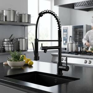 Rubinetto da cucina con funzione spray professionale, colore nero, modello Gastro BL-4402-GT, marca Aquanello