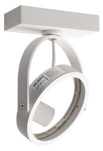 Luce Spot da parete a LED LUGAR 1xAR111 - GU10/25W/230V