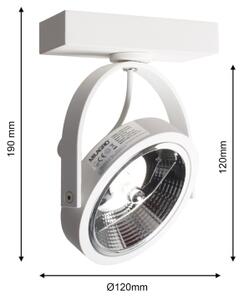 Luce Spot da parete a LED LUGAR 1xAR111 - GU10/25W/230V