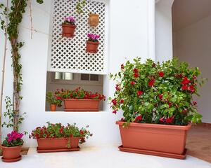 Vaso per piante e fiori Venezia ARTEVASI in plastica colore Cotto H 40 cm, L 100 x P 46 cm