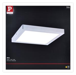 Paulmann 70982 - Plafoniera LED/22W ABIA 230V