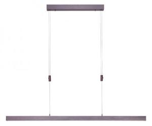 Paul Neuhaus 2568-24 - Lampadario a sospensione con filo LED dimmerabile ADRIANA LED/14W/230V