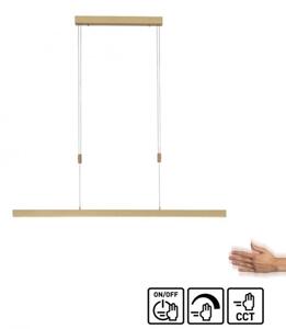 Paul Neuhaus 2568-60 - Lampadario a sospensione con filo LED dimmerabile ADRIANA LED/14W/230V ottone