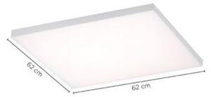 Paul Neuhaus 8492-16 - Pannello LED dimmerabile FRAMELESS LED/35W/230V + TC