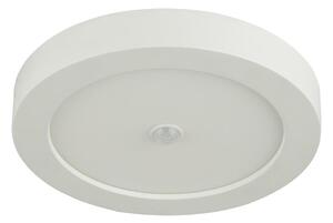GLOBO 41605-18S - Plafoniera LED da esterno con sensore PAULA LED/18W/230V