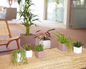 Vaso per piante e fiori Cubo ARTEVASI in plastica colore tortora H 10.5 cm, L 10.5 x P 10.5 cm