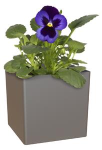 Vaso per piante e fiori Cubo ARTEVASI in plastica colore antracite H 13.5 cm, L 13.5 x P 13.5 cm
