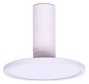 Rabalux 71328 - Plafoniera LED OVIDIA LED/20W/230V 3000K bianca