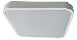 Rabalux 71423 - Plafoniera LED da bagno ALENZO LED/36W/230V IP44 bianco
