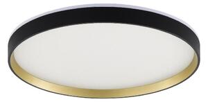 Zuma Line MS750400R-BK&GD-LED RGBW ORBITRAL 32W/230V+8W nero/oro+DO