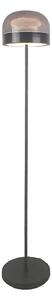 Rabalux 74038 - Lampada da terra dimmerabile a LED XELIRA LED/20W/230V 3000/4000/6000K