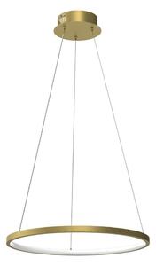 Lampadario LED a sospensione con filo HOOP LED/27W/230V diametro 50 cm 4000K oro