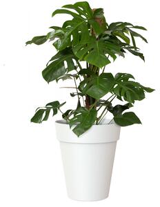 Vaso per piante e fiori Capri ARTEVASI in plastica colore bianco H 46.3 cm, Ø 40 cm