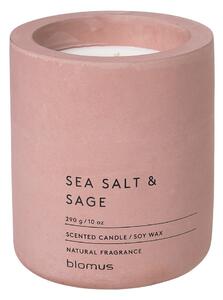 Candela di soia profumata tempo di combustione 55 h Fraga: Sea Salt and Sage - Blomus