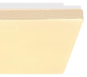 Globo 48296W - Plafoniera LED RAINA LED/12W/230V