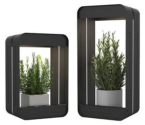 Set di supporti per fiori in acciaio 2 pz (altezza totale 34,5 cm) Aria – Garden Pleasure