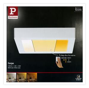 Paulmann 79796 - Plafoniera LED/13W CARPO 230V 2300-3000K