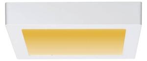 Paulmann 79796 - Plafoniera LED/13W CARPO 230V 2300-3000K