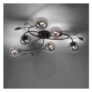 Paul Neuhaus 6737-18 - Lampadario da parete LED WIDOW 6xG9/3W/230V