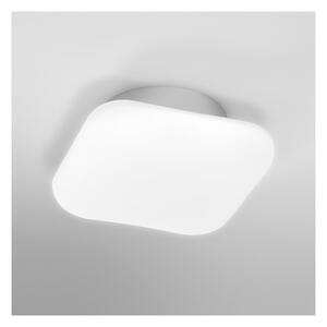 Ledvance-LED Lampada da bagno dimmerabile SMART+ AQUA LED/12W/230V IP44 Wi-Fi