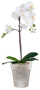 Vaso per piante e fiori Capri Orchidea ARTEVASI in plastica colore trasparente H 15 cm, Ø 15 cm