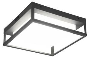 Applique da esterno a LED (altezza 10 cm) Witham - Trio