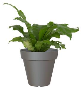 Vaso per piante e fiori Capri ARTEVASI in polipropilene colore antracite H 34.7 cm, Ø 40 cm