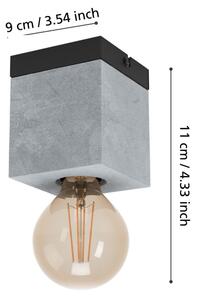 Eglo 43595 - Plafoniera PRESTWICK 1xE27/40W/230V