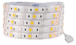 Striscia LED RGBW Dimmerabile 5m LED/24W/12V IP65