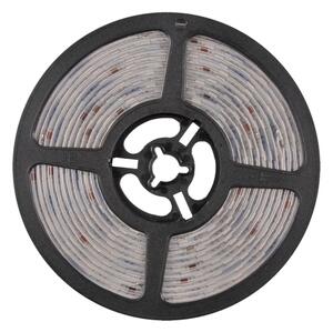 Striscia LED RGBW Dimmerabile 5m LED/24W/12V IP65