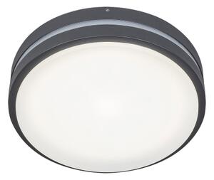 Rabalux 8847 - Applique a LED da esterno HAMBURG LED/10W/230V IP44