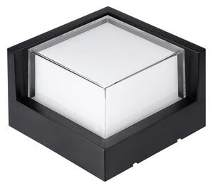 LED Applique da esterno LED/12W/230V IP65
