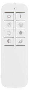 Globo 48441-50 - Plafoniera LED dimmerabile RODERICK LED/50W/230V + tc