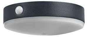 Ledvance ENDURA STYLE LED 6W 3,7V IP44 lampada solare da parete con sensore