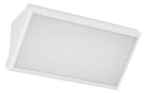Lampada da parete LED esterna 20W 230V 6400K IP65 bianco