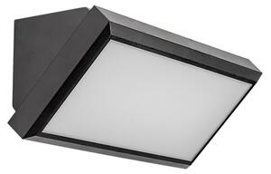 Rabalux 7282 - Lampada da parete esterna LED RAPLA LED/12W/230V IP54