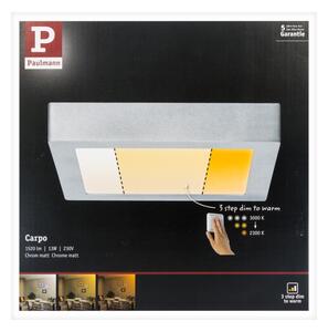 Paulmann 79794 - Plafoniera LED/13W CARPO 230V 2300/2500/3000K