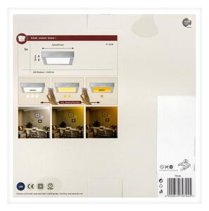 Paulmann 79794 - Plafoniera LED/13W CARPO 230V 2300/2500/3000K