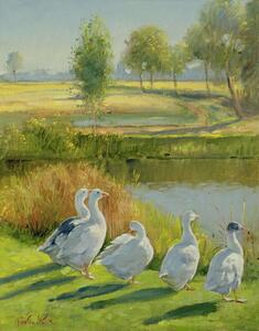 Riproduzione Gooseguard, Timothy Easton