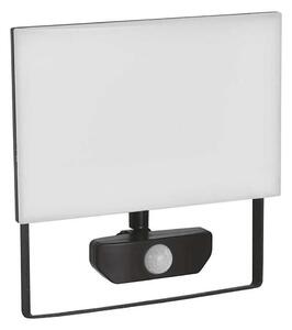 Riflettore LED con sensore TAMBO LED/50W/230V 4000K IP54