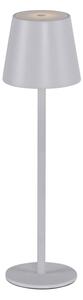 Leuchten Direkt 19250-16-LED Lampada ricaricabile da esterno EURIA LED/3W/5V IP54 bianco