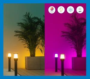WiZ-LED RGBW Dimmerabile per esterni lampada ELPAS LED/3,6W/12V 2700-5000K IP65 Wi-Fi