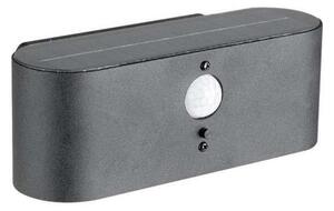 Lampada solare da parete LED esterna con sensore LED/2,5W/3,7V 3000K IP54