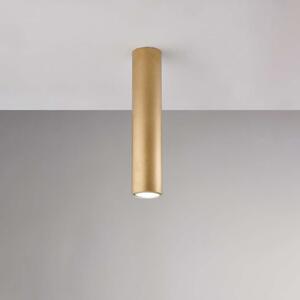 Bonetti Illumina Plafoniera in ferro laccato bianco GU10 con decorazione oro antico 1 luce