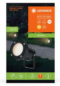 Ledvance - Lampada LED da esterno NAUT SPIKE LED/2W/12V IP44